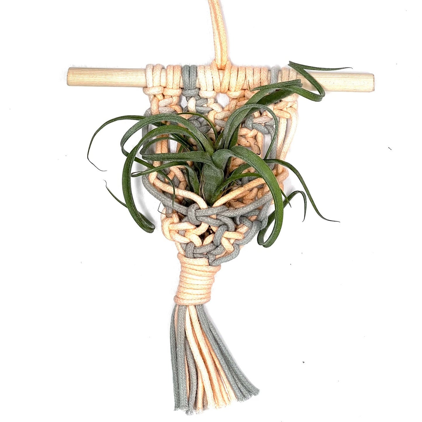 T.Curly Slim cu suport macrame colorat