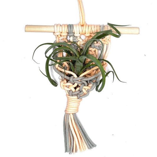 T.Curly Slim cu suport macrame colorat