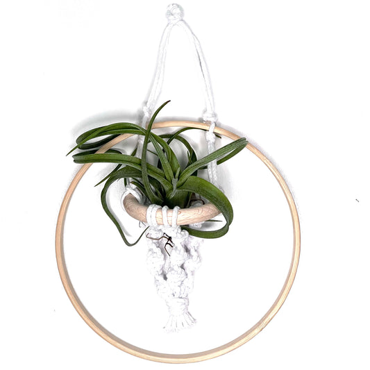 T.Curly Slim cu Suport Fairy